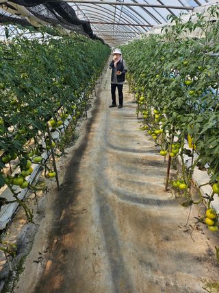 토마토상민님의 기타작물 · 영농일지 작성글 사진