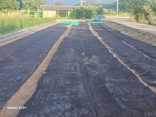 최갑수 님의 기타작물 · 영농일지 작성글 사진