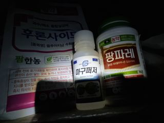 논산푸른팜님의 작성글 사진