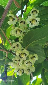 팜모닝 기타작물·영농일지 게시글 이미지