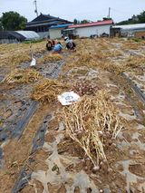 팜모닝 기타작물·영농일지 게시글 이미지