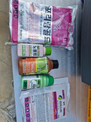 두진팜 사과농원님의 사과 · 영농일지 작성글 사진