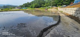 초보농부님의 벼 · 영농일지 작성글 사진