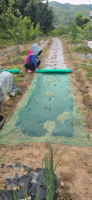 돌복숭아님의 기타작물 · 영농일지 작성글 사진