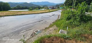 초보농부님의 벼 · 영농일지 작성글 사진