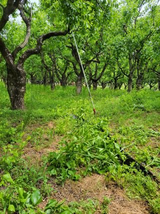 정택님의 기타작물 · 영농일지 작성글 사진