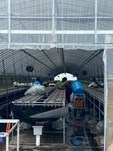 팜모닝 딸기·영농일지 게시글 이미지