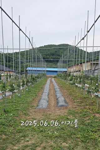 최해목님의 기타작물 · 영농일지 작성글 사진