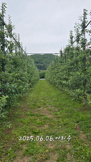 최해목님의 기타작물 · 영농일지 작성글 사진