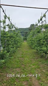 팜모닝 기타작물·영농일지 게시글 이미지