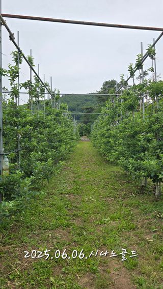 최해목님의 기타작물 · 영농일지 작성글 사진