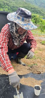 팜모닝 기타작물·영농일지 게시글 이미지