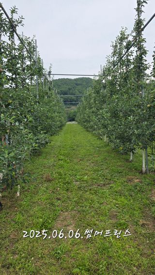 최해목님의 기타작물 · 영농일지 작성글 사진