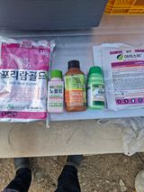 팜모닝 사과·영농일지 게시글 이미지