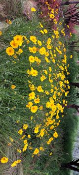 팜모닝 기타작물·영농일지 게시글 이미지