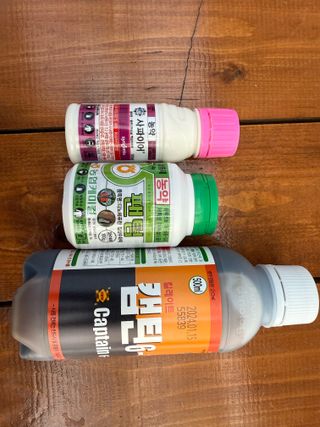 이선민(호뜨락)님의 포도 · 영농일지 작성글 사진