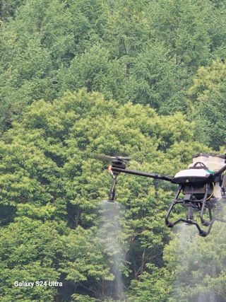 gigibae111님의 고추 · 영농일지 작성글 사진