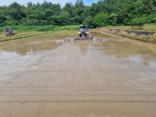 강진귀농10년차님의 벼 · 영농일지 작성글 사진