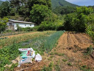 이선희님의 기타작물 · 영농일지 작성글 사진
