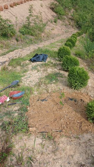 박준권님의 기타작물 · 영농일지 작성글 사진