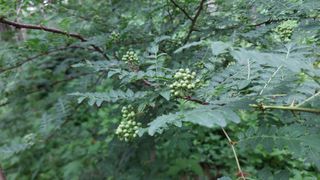 유병욱님의 기타작물 · 영농일지 작성글 사진