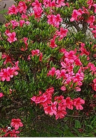 작은별님의 기타작물 · 영농일지 작성글 사진