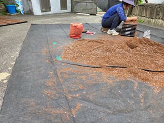 윤자용11대임후회장님의 들깨 · 영농일지 작성글 사진