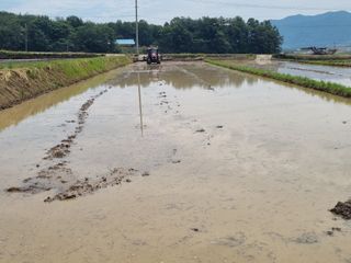 강진귀농10년차님의 벼 · 영농일지 작성글 사진