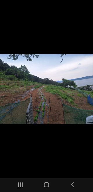 김윤숙님의 기타작물 · 영농일지 작성글 사진