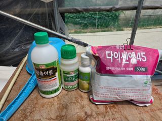 장두학님의 기타작물 · 영농일지 작성글 사진