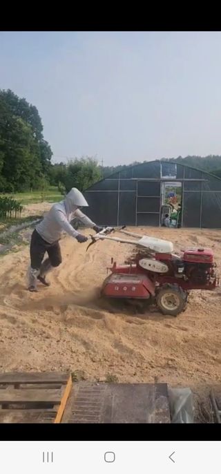 김용민님의 참깨 · 영농일지 작성글 사진