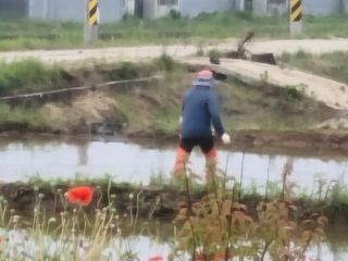 강진귀농10년차님의 벼 · 영농일지 작성글 사진