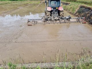 강진귀농10년차님의 벼 · 영농일지 작성글 사진