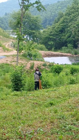 박준권님의 기타작물 · 영농일지 작성글 사진