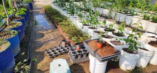 고동옥님의 기타작물 · 영농일지 작성글 사진