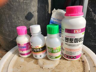 꿀복이농장님의 복숭아 · 영농일지 작성글 사진