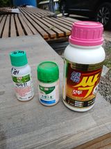 팜모닝 고추·영농일지 게시글 이미지