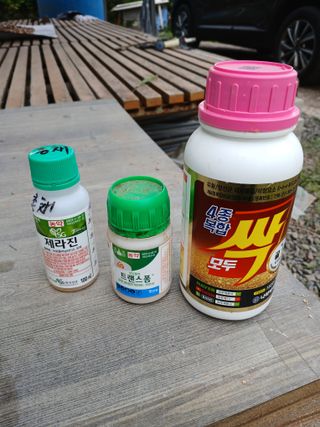 김성구님의 고추 · 영농일지 작성글 사진