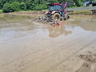 강진귀농10년차님의 벼 · 영농일지 작성글 사진