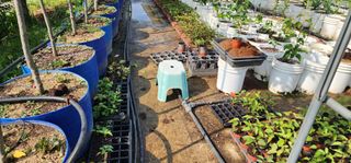 고동옥님의 기타작물 · 영농일지 작성글 사진