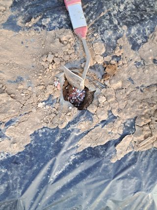 이인성님의 기타작물 · 영농일지 작성글 사진