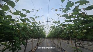 황규복(달구지)님의 작성글 사진