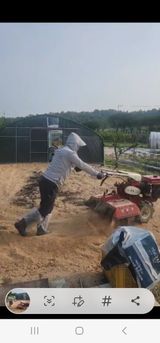 팜모닝 참깨·영농일지 게시글 이미지