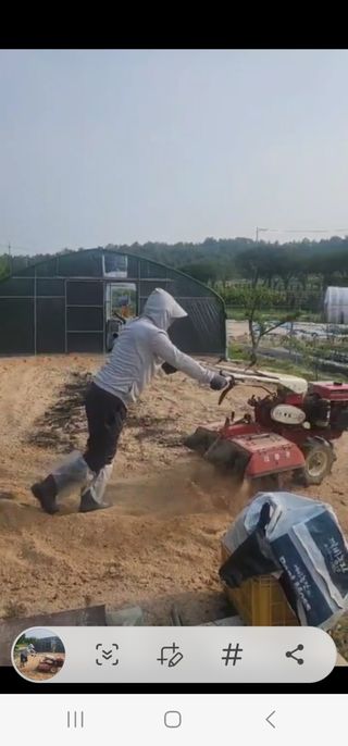 김용민님의 참깨 · 영농일지 작성글 사진