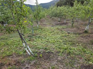 이선희님의 기타작물 · 영농일지 작성글 사진