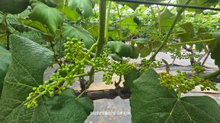 황규복(달구지)님의 작성글 사진