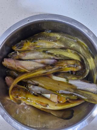 낙엽교목류21691님의 기타작물 · 영농일지 작성글 사진