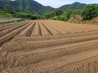 김형선님의 콩 · 영농일지 작성글 사진