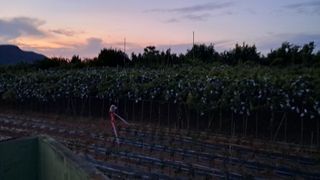 장원팜님의 배 · 영농일지 작성글 사진