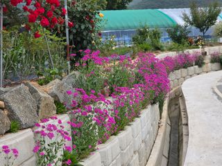 김영창님의 사과 · 영농일지 작성글 사진